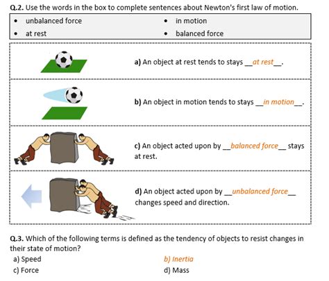 Newton's Law of Motions Practice worksheet